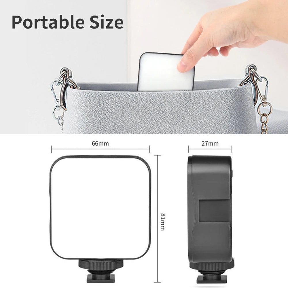 Professional LED video light