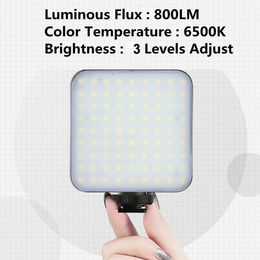 Professional LED video light